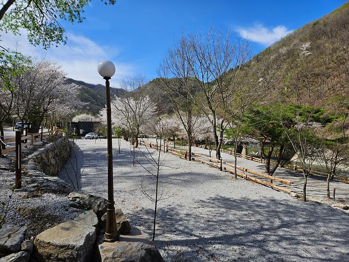 [경기도 포천시] 담터 민수 캠핑장