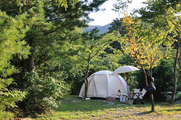 [경기도 포천시] 포천캠핑마을 – 왕방산 자락에 위치한 반려견 동반 캠핑장