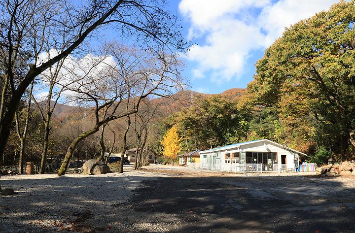 [경기도 포천시] 딥포레스트캠핑장