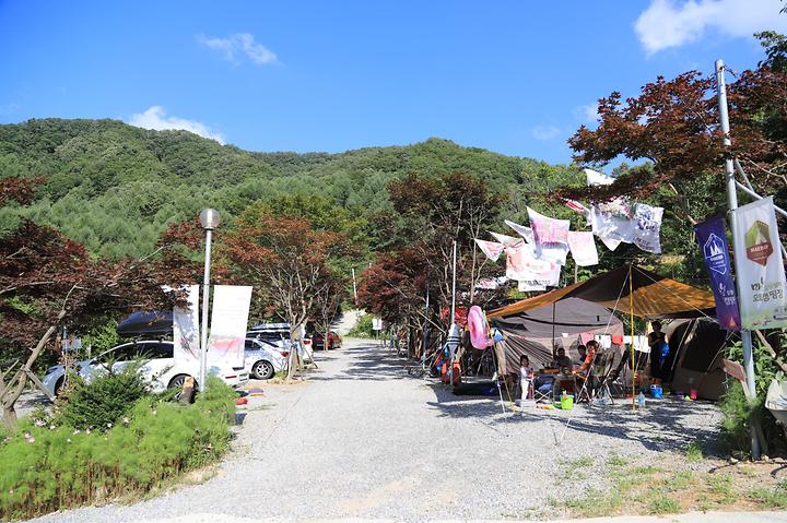 [강원도 원주시] 매봉힐링캠프