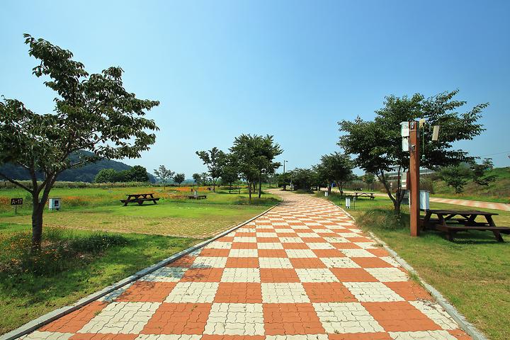 [충청남도 청양군] 청양 동강리 오토캠핑장 – 금강 변을 배경으로 펼쳐진 오토캠핑장