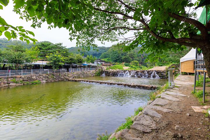 [대구광역시 군위군] 팔공 쉼터 야영장 – 계곡 평상과 함께 운영하는 캠핑장