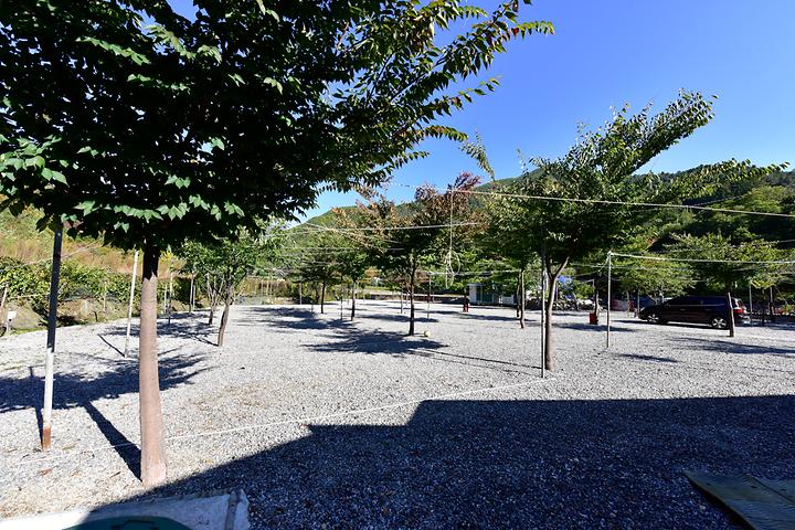 [경기도 가평군] 금다래캠핑장 – 맑고 시원한 계곡을 품고 있는 편안한 내 집 같은 쉼터 캠핑장