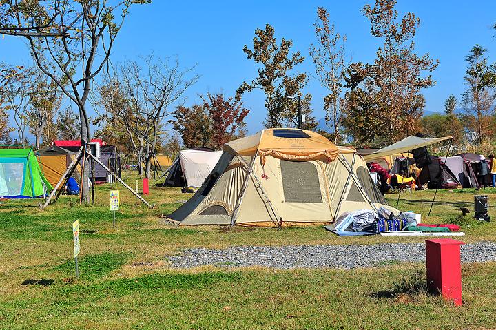 [부산광역시 사상구] 삼락생태공원 오토캠핑장 – 철새들과 함께 캠핑을 즐길 수 있는 삼락생태공원 오토캠핑장.
