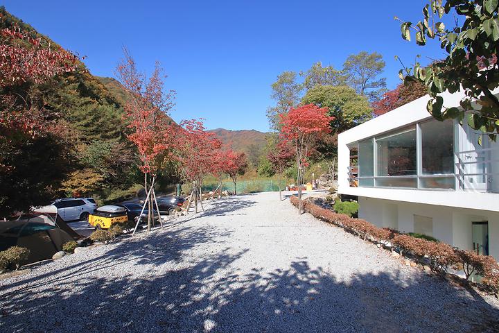 [경상북도 영주시] 묘솔 – 숲과 계곡이 공존하는 소규모 캠핑장