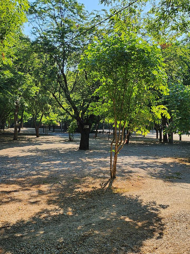 [강원도 인제군] 백담계곡오토캠핑장