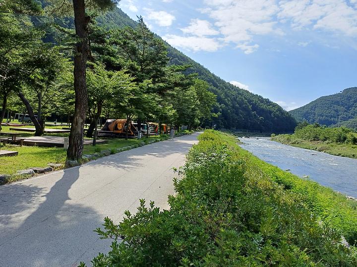 [강원도 정선군] 졸드루오토캠핑장