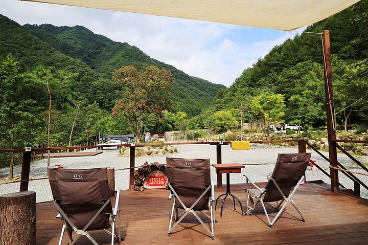 [강원도 홍천군] 그린필로우 – 산사춘 나무로 유명한 프라이빗 캠핑장