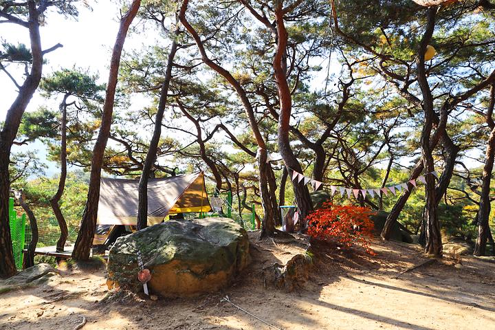 [경기도 고양시] 북한산농바위캠핑장 – 북한산이 바라다 보이는 기암괴석과 소나무숲 속 야영장