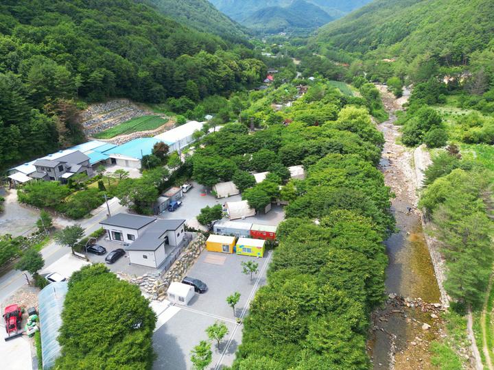 [강원도] 법흥계곡캠핑오늘 – 1급수에서만 사는 물고기가 사는 곳 법흥계곡과 솔밭 캠핑장