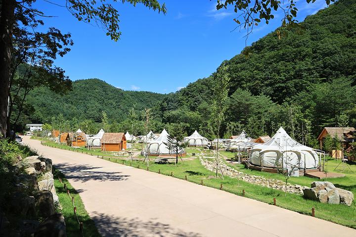 [강원도 평창군] 라피 – 흥정계곡 상류 북유럽풍 감성 글램핑