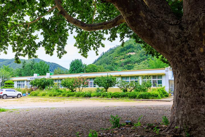 [경상북도 포항시] 에코팜 부설 오토캠핑장 – 폐교가 감성적인 캠핑장으로 탈바꿈한 곳