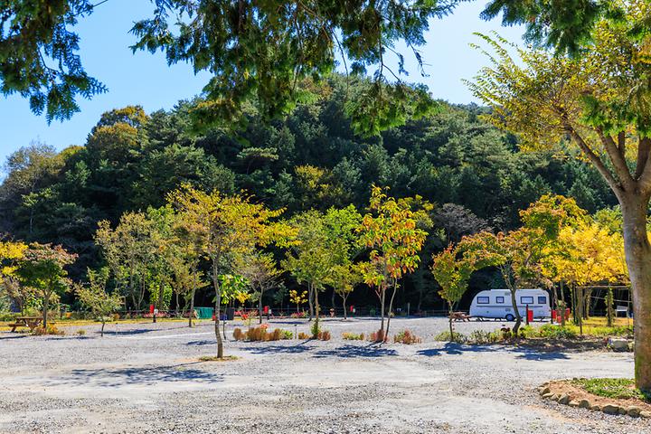 [전라남도 장성군] 마실야영장