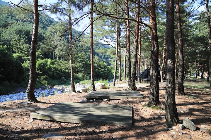 [강원도 양양군] 솔바람야영장