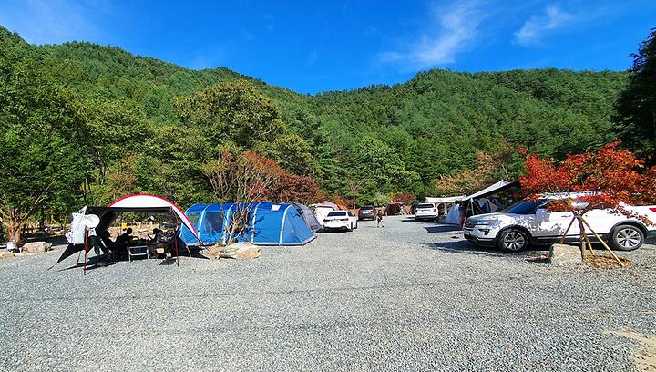 [강원도 양양군] 279캠핑장