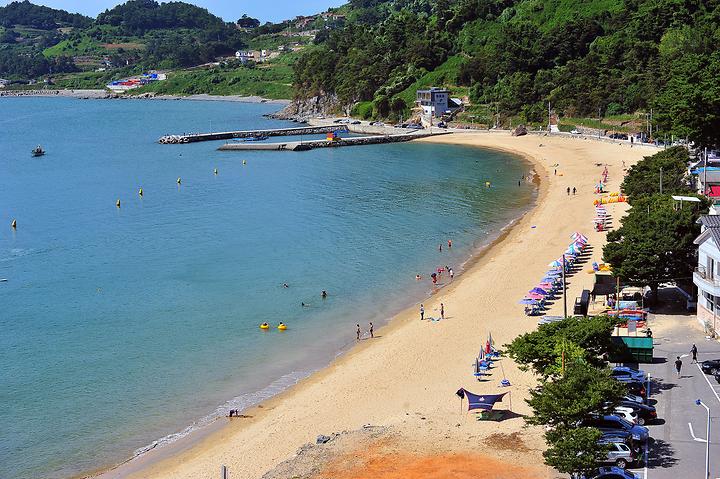 [경상남도 남해군] 사촌해수욕장야영장 – 울창한 소나무 숲에서 조용히 힐링 할 수 있는 캠핑장.