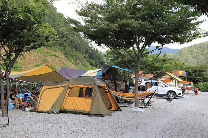 [강원도 영월군] 예다움 캠핑장