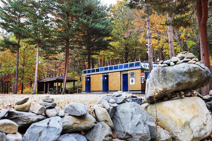 [강원도 강릉시] 강릉 노추산 힐링캠프 – 해발 700m 백두대간 금강송 캠핑장