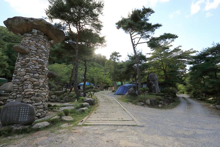 [충청북도 제천시] 드래곤오토캠핑장 – 산과 계곡으로 둘러싸인 자연친화적 오토캠핑장