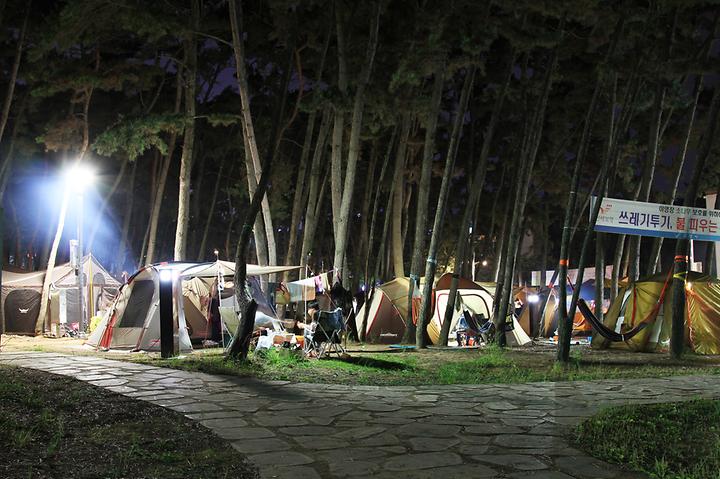 [충청남도 보령시] 대천해수욕장 야영장 – 대천해수욕장 아래쪽 솔숲에 조성한 국민여가캠핑장