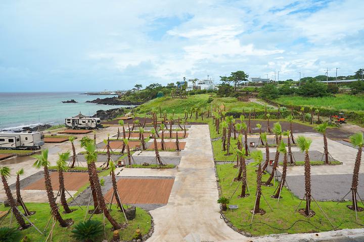 [제주특별자치도 제주시] 곽지몬스터캠핑 – 제주바다와 야자수숲에서의 온전한 휴식