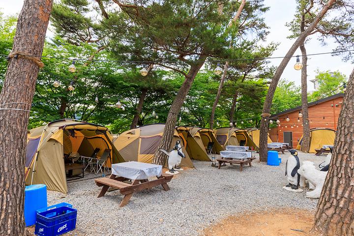 [충청남도 예산군] 포시즌오토캠핑장 – 셀프 바비큐 식당과 함께 운영되는 캠핑장