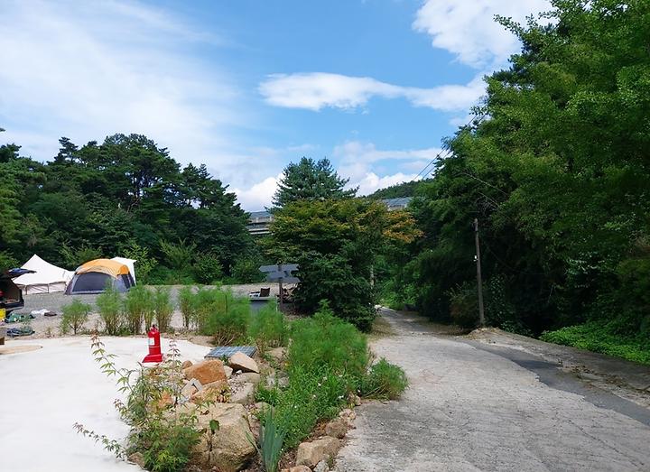 [대구광역시 동구] 바람숲야영장 – 계곡 인근 숲속에 자리한 캠핑장