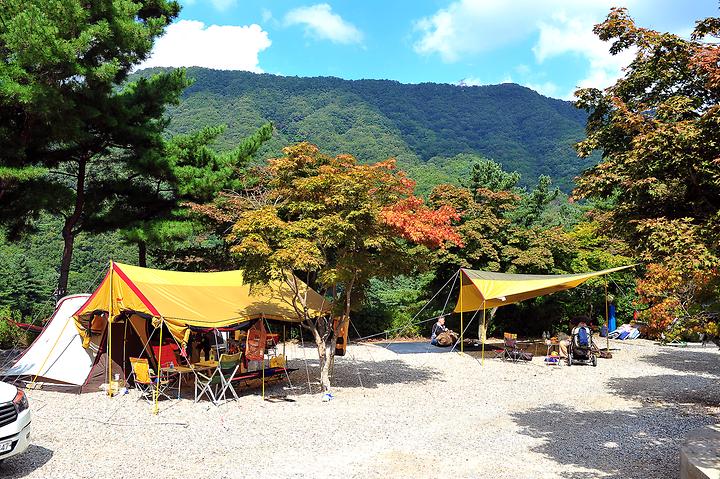 [경기도 동두천시] 아스트로마스 캠핑랜드 – 피톤치드 가득한 숲속에서의 하룻밤