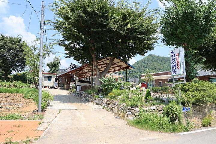 [강원도 영월군] 동강 산수 캠핑장 – 산 그리고 동강 자연을 폼은 캠빙장