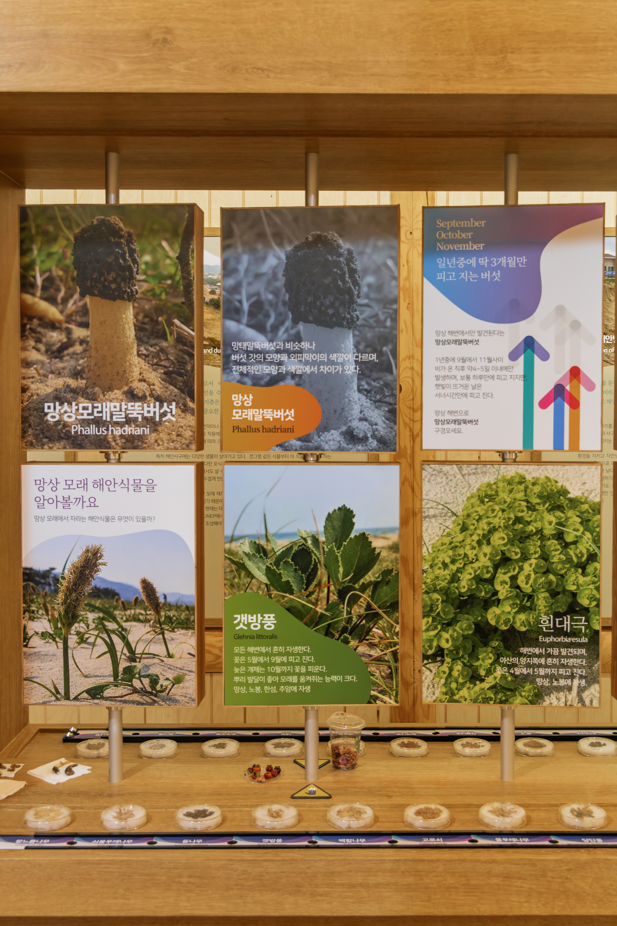 망상오토캠핑리조트 5번째 이미지