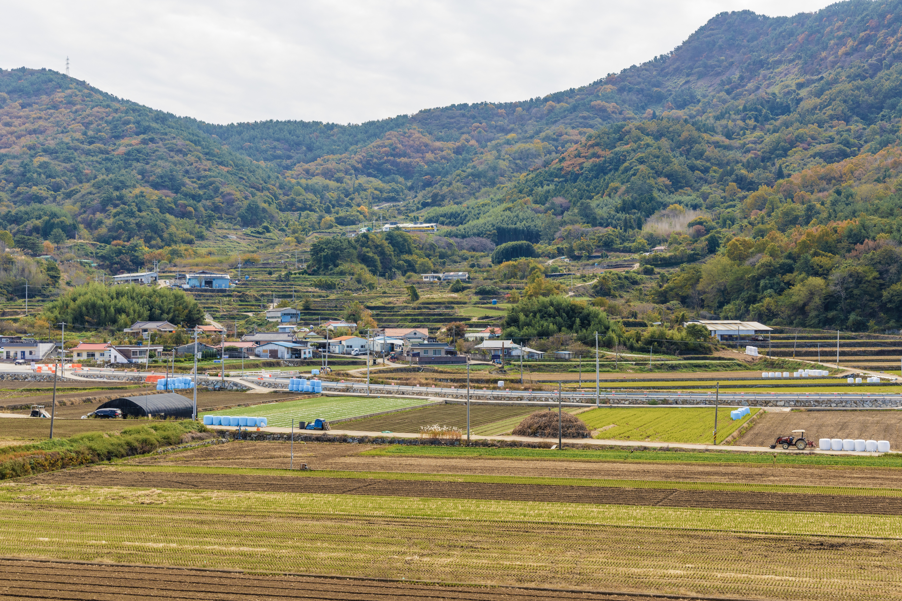 덕신야영장 6번째 이미지