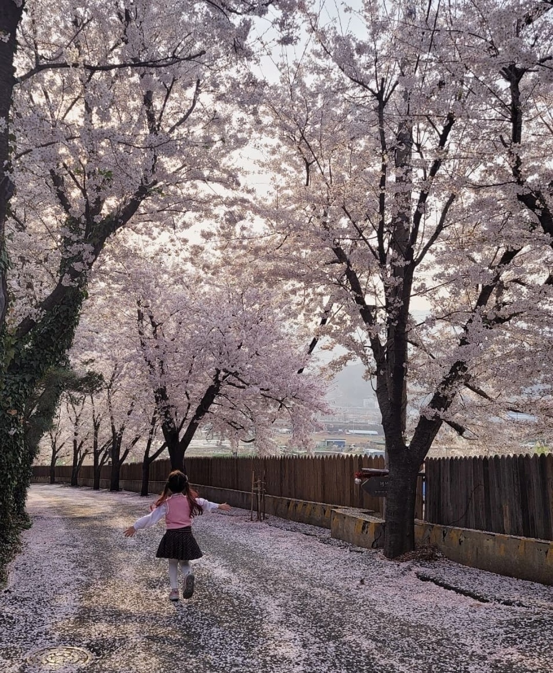 캠핑라운드 12번째 이미지