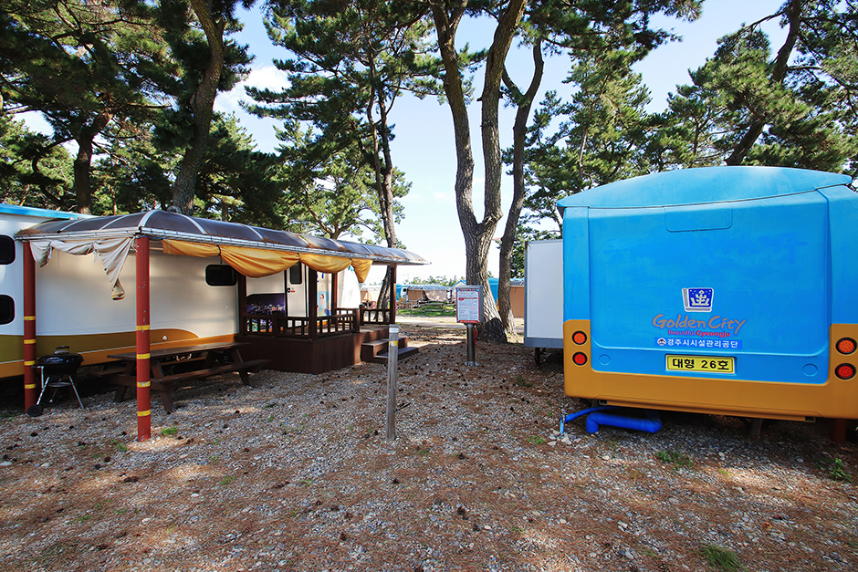 감포송아캠핑장