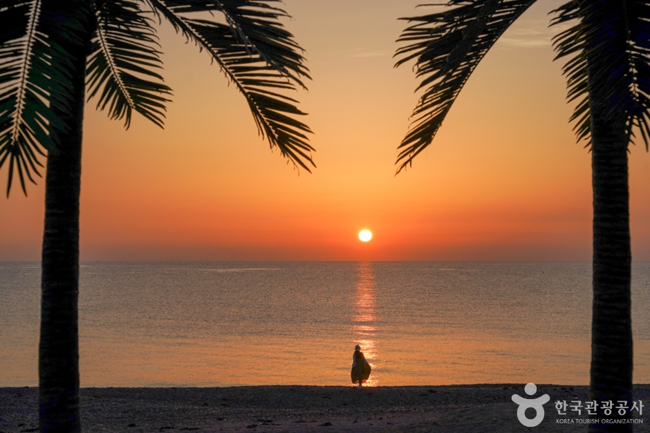 감포송아캠핑장