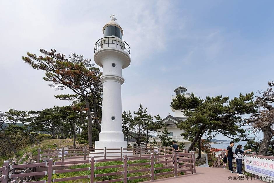 감포송아캠핑장