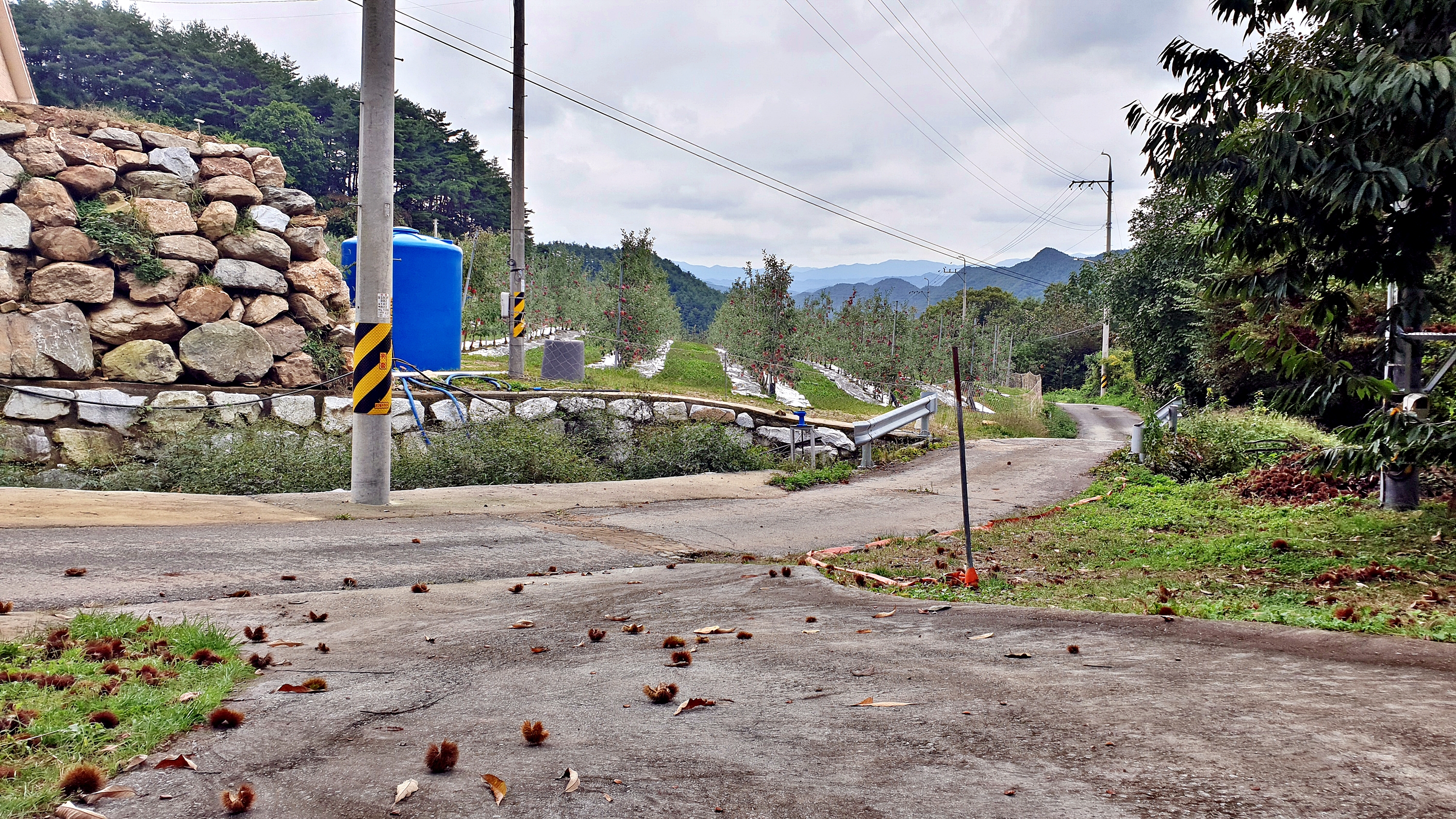 각화산캠핑장 5번째 이미지