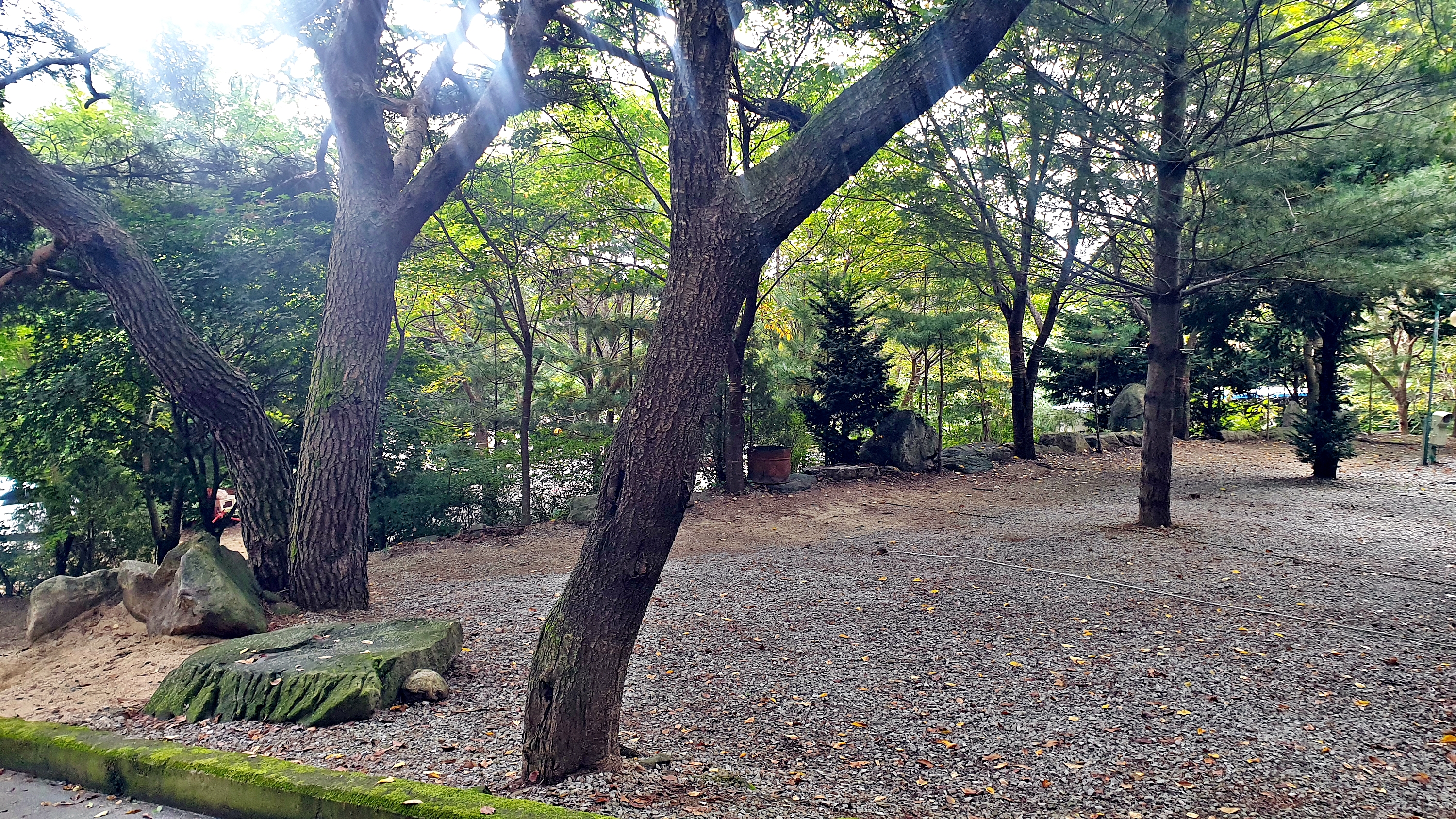 각화산캠핑장 36번째 이미지