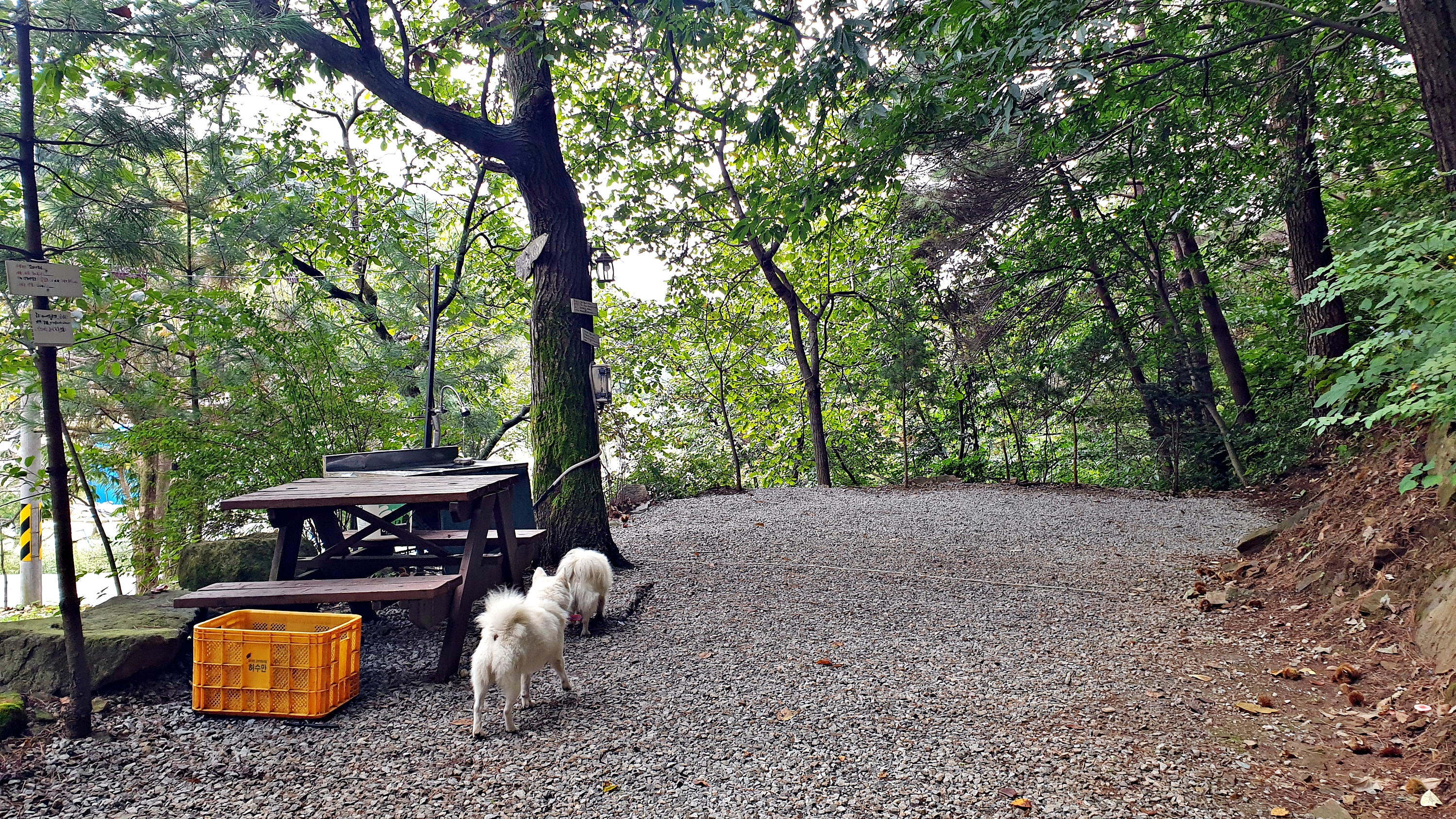 각화산캠핑장 38번째 이미지
