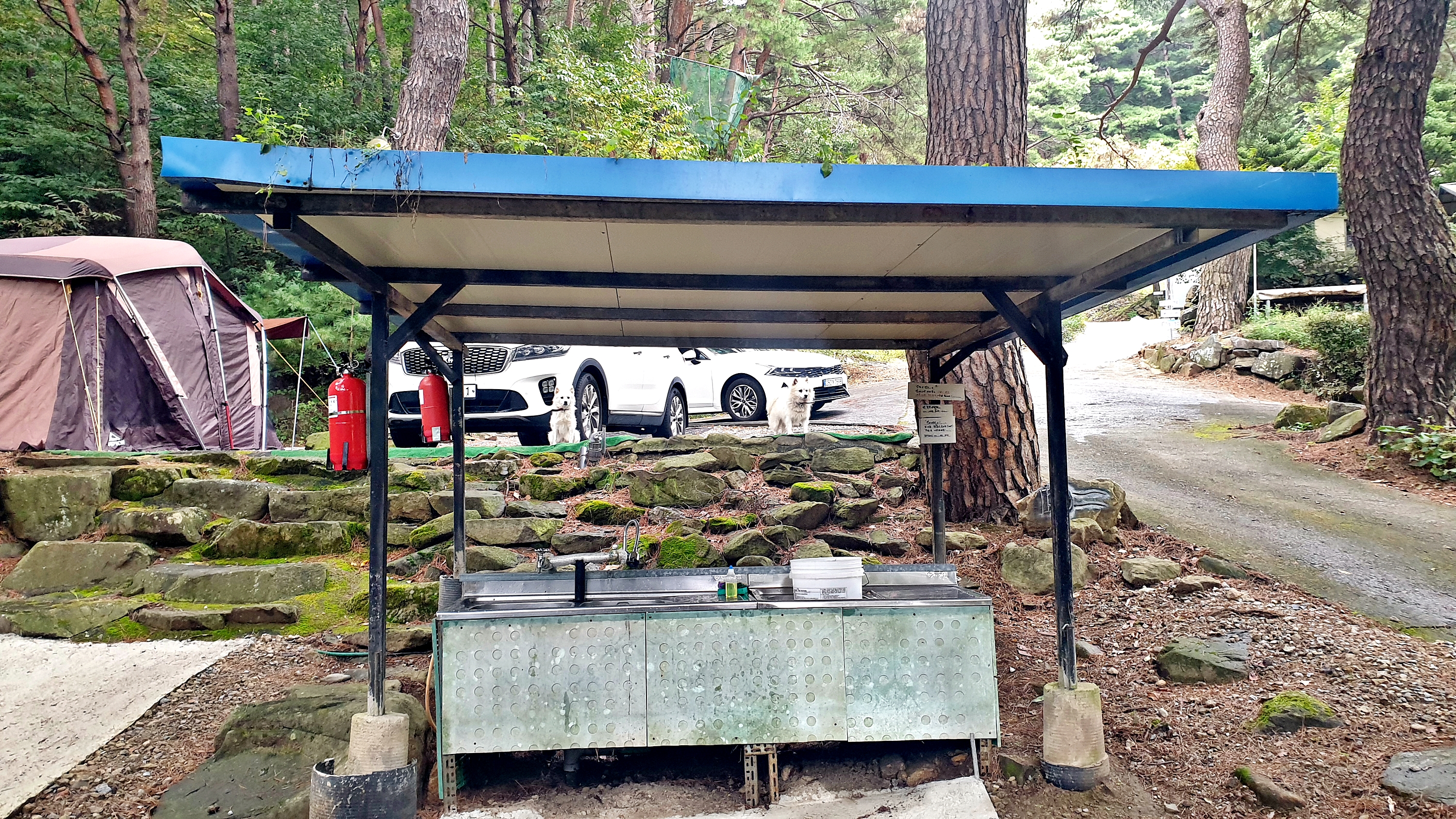 각화산캠핑장 35번째 이미지