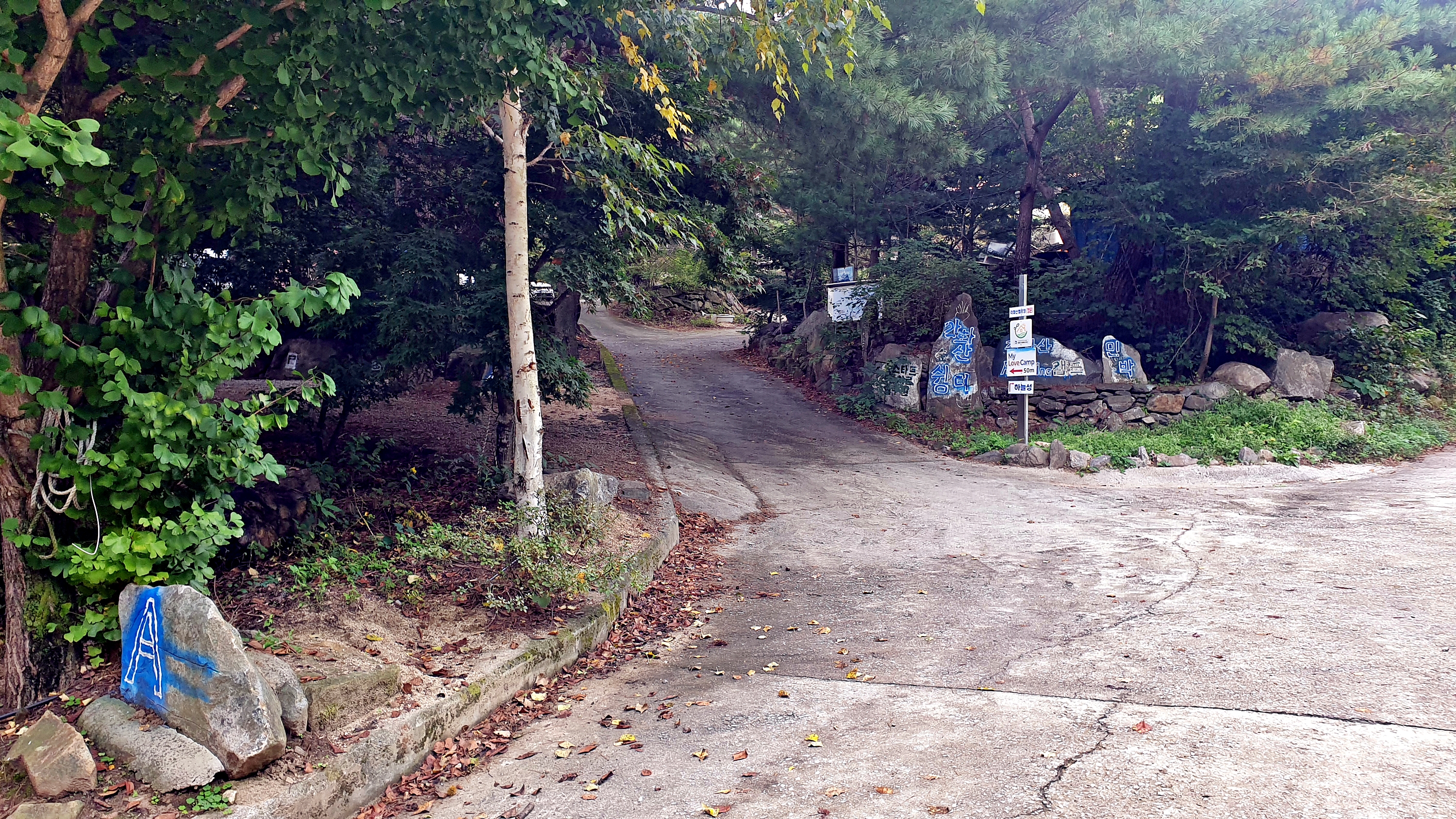 각화산캠핑장 6번째 이미지