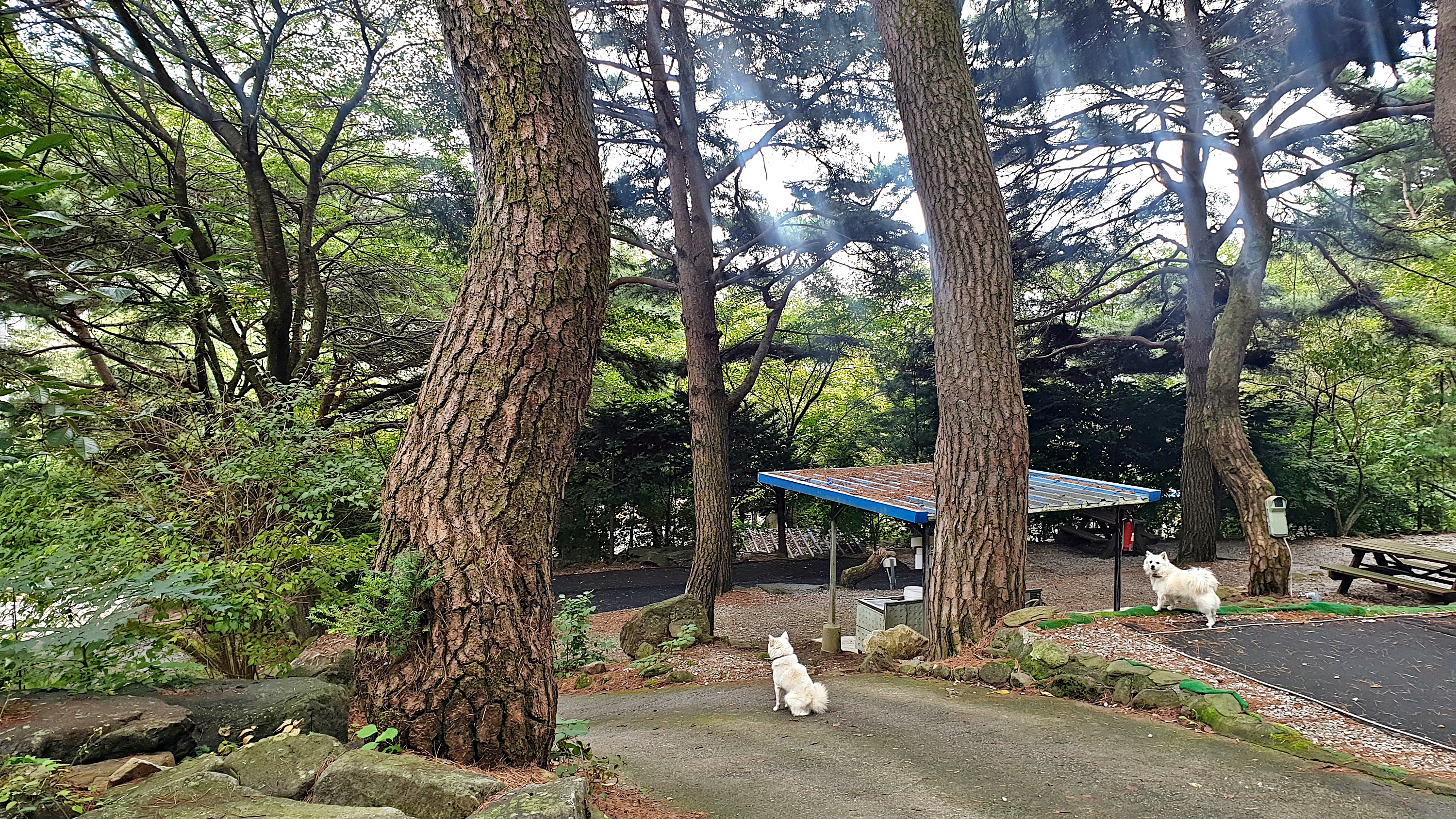 각화산캠핑장 31번째 이미지