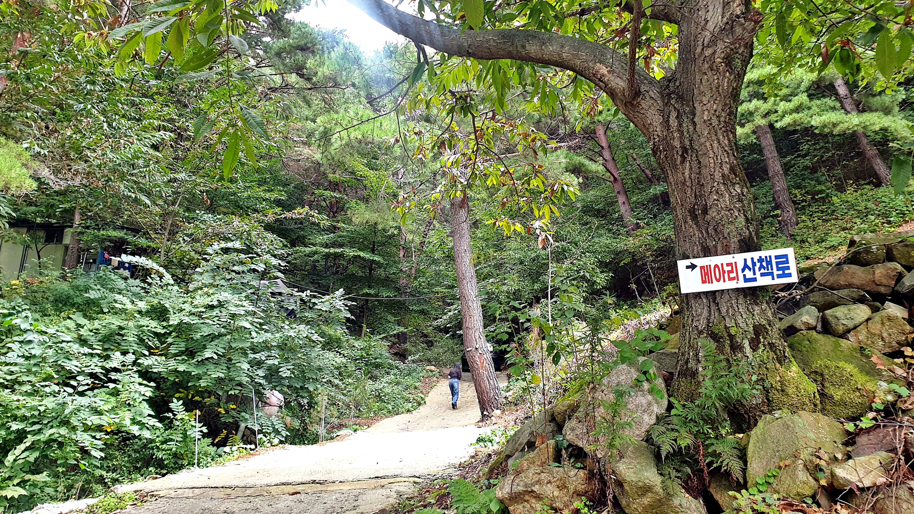 각화산캠핑장 28번째 이미지