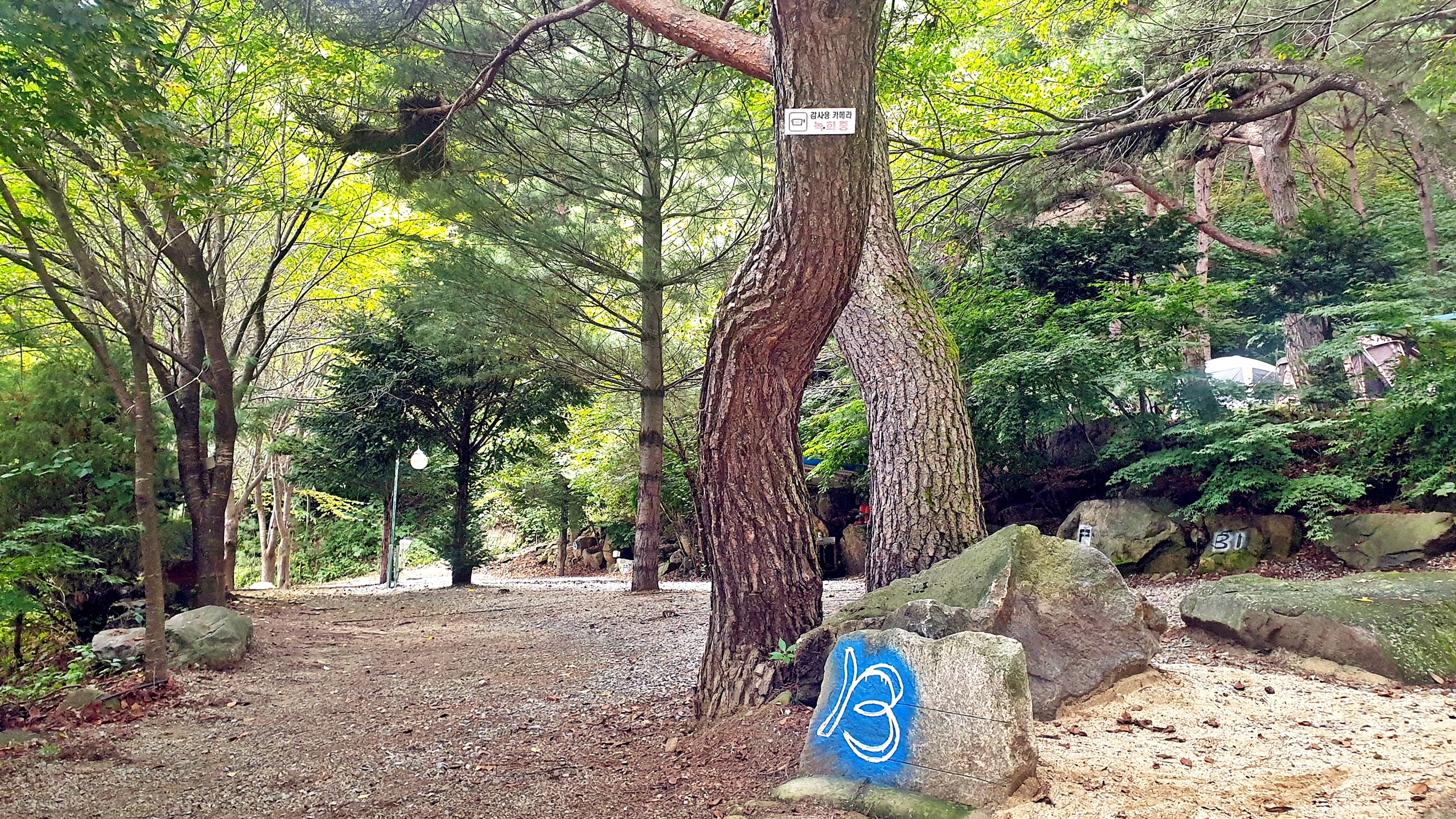 각화산캠핑장 20번째 이미지