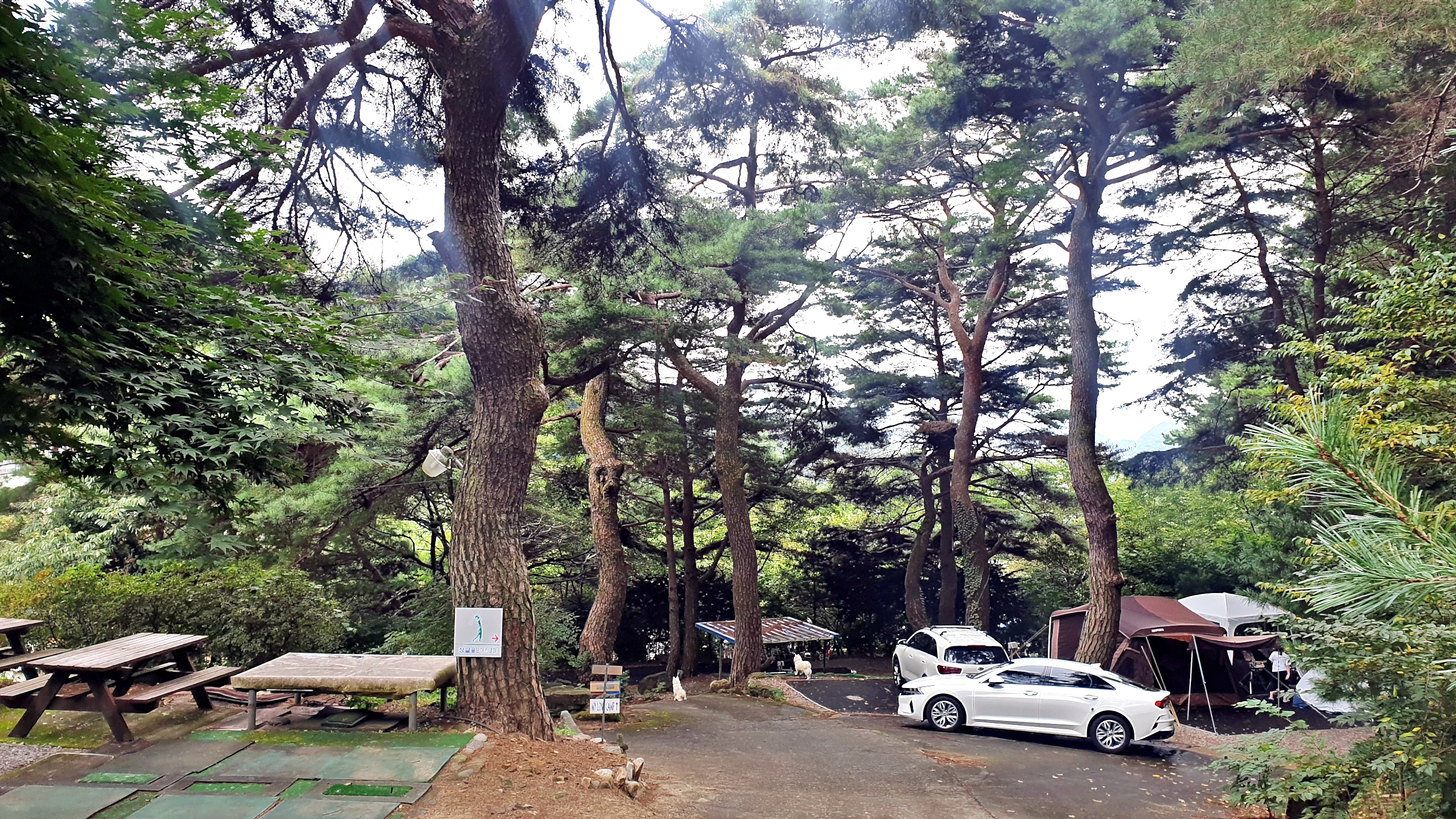 각화산캠핑장 30번째 이미지