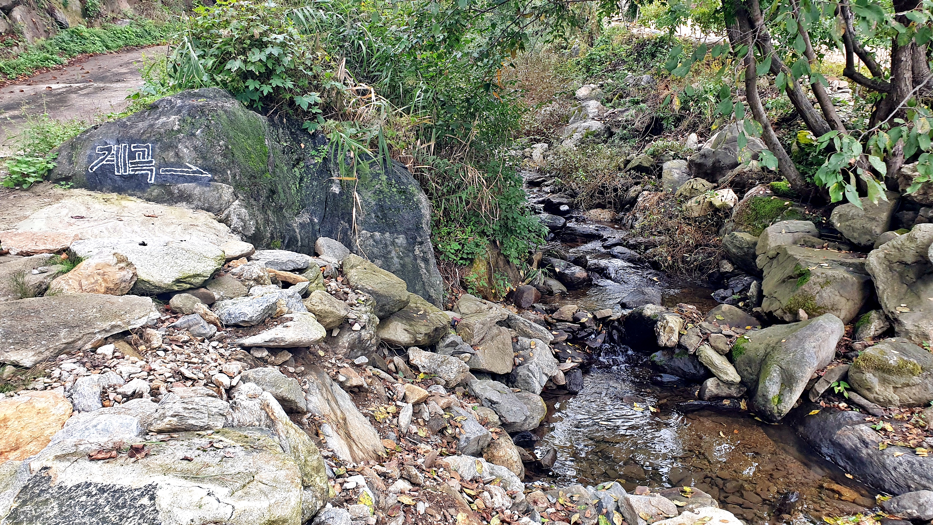 각화산캠핑장 41번째 이미지