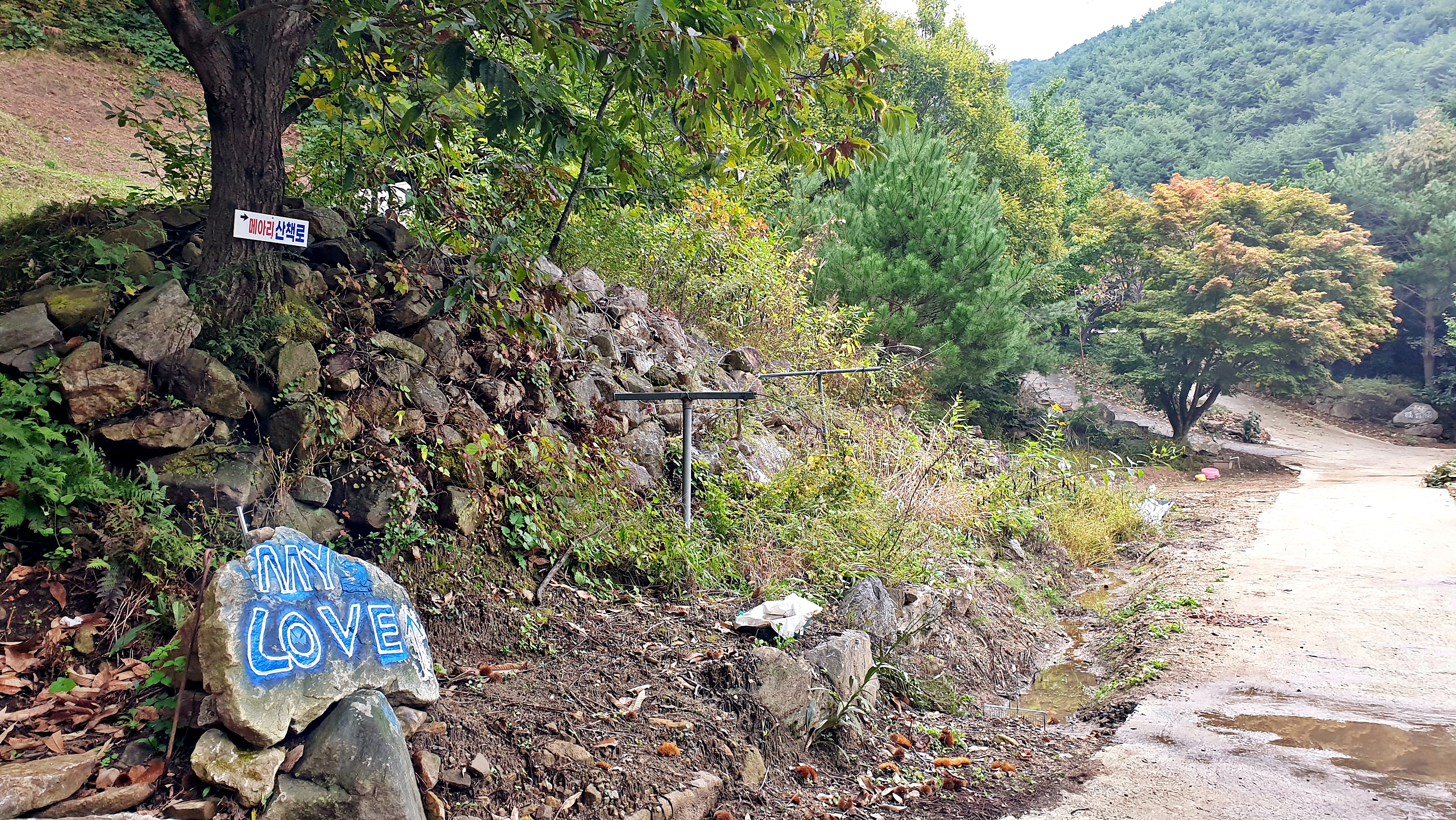 각화산캠핑장 27번째 이미지