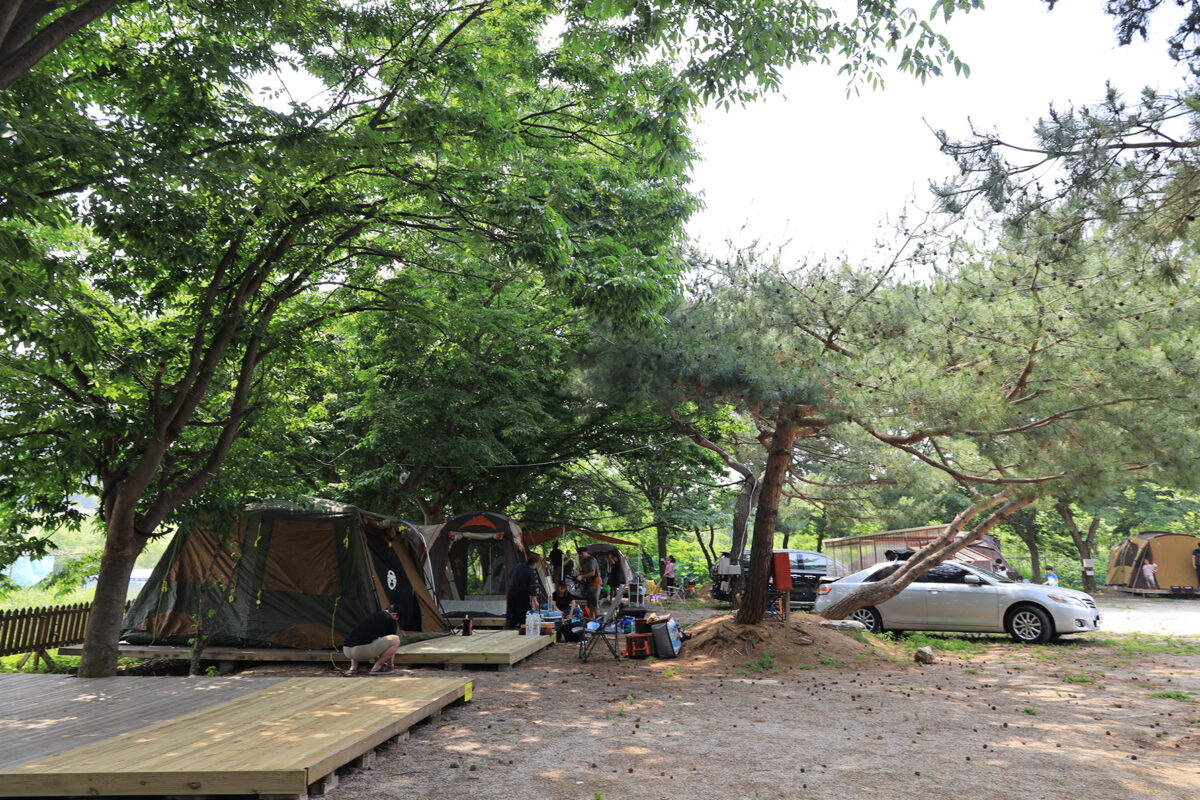 황산도캠핑장 19번째 이미지