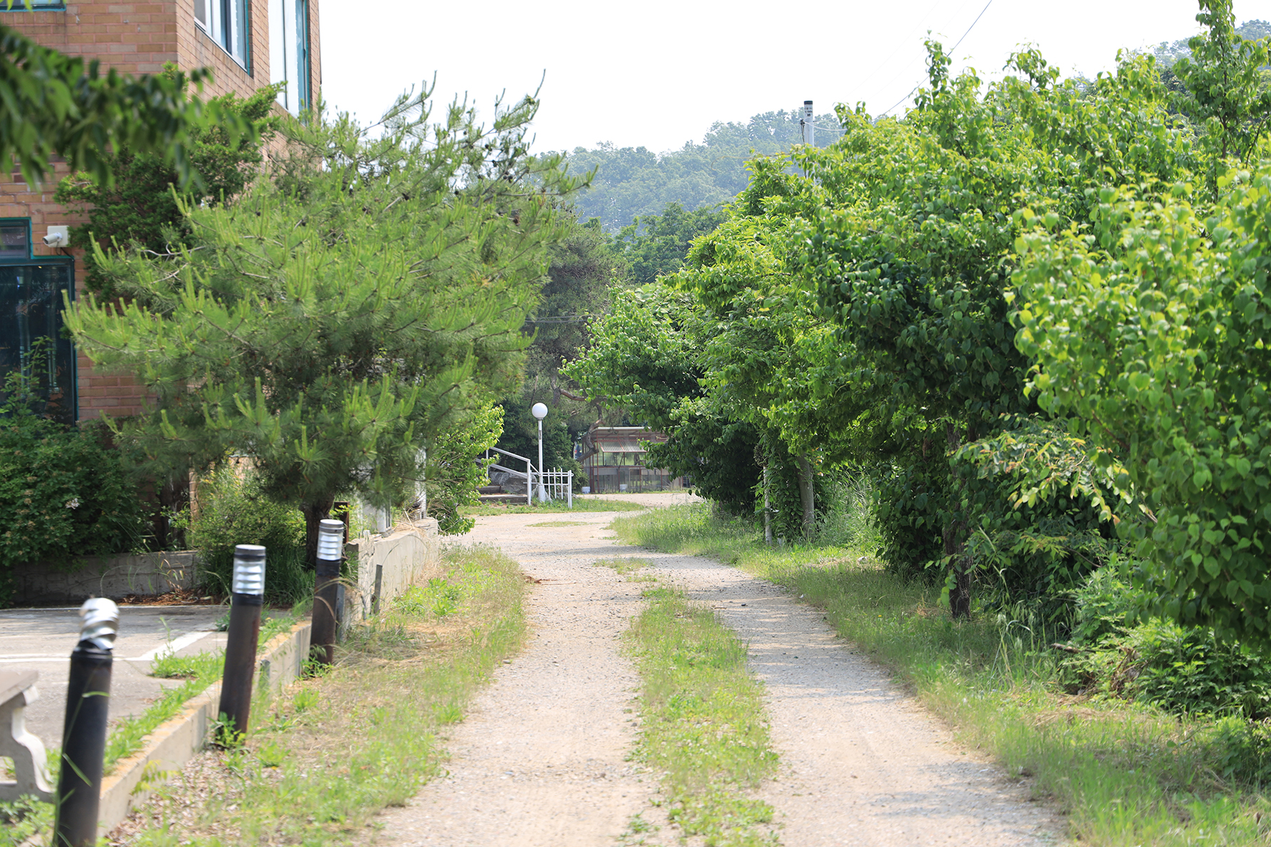 황산도캠핑장 6번째 이미지