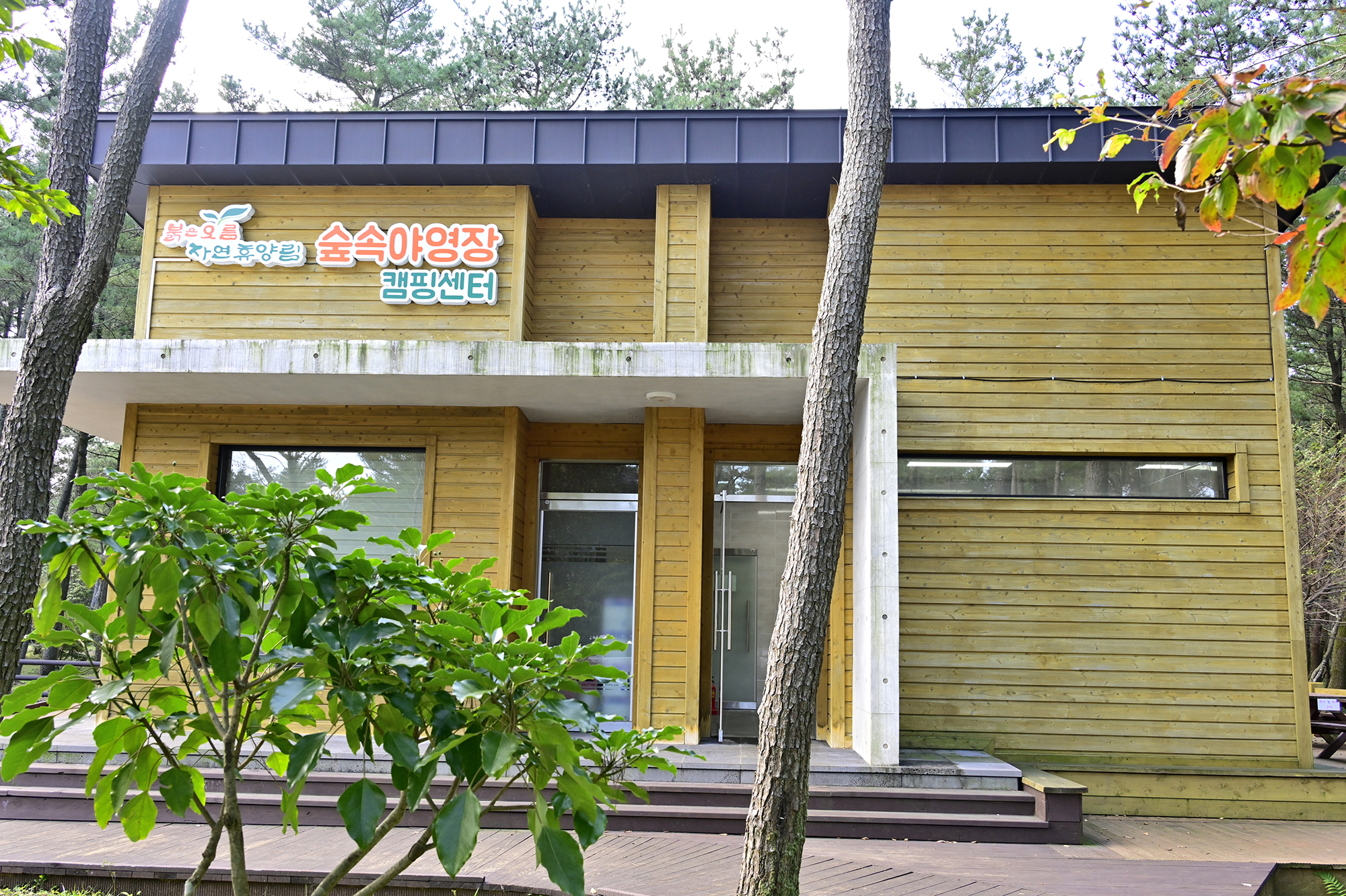 붉은오름 자연휴양림 숲속 야영장 14번째 이미지