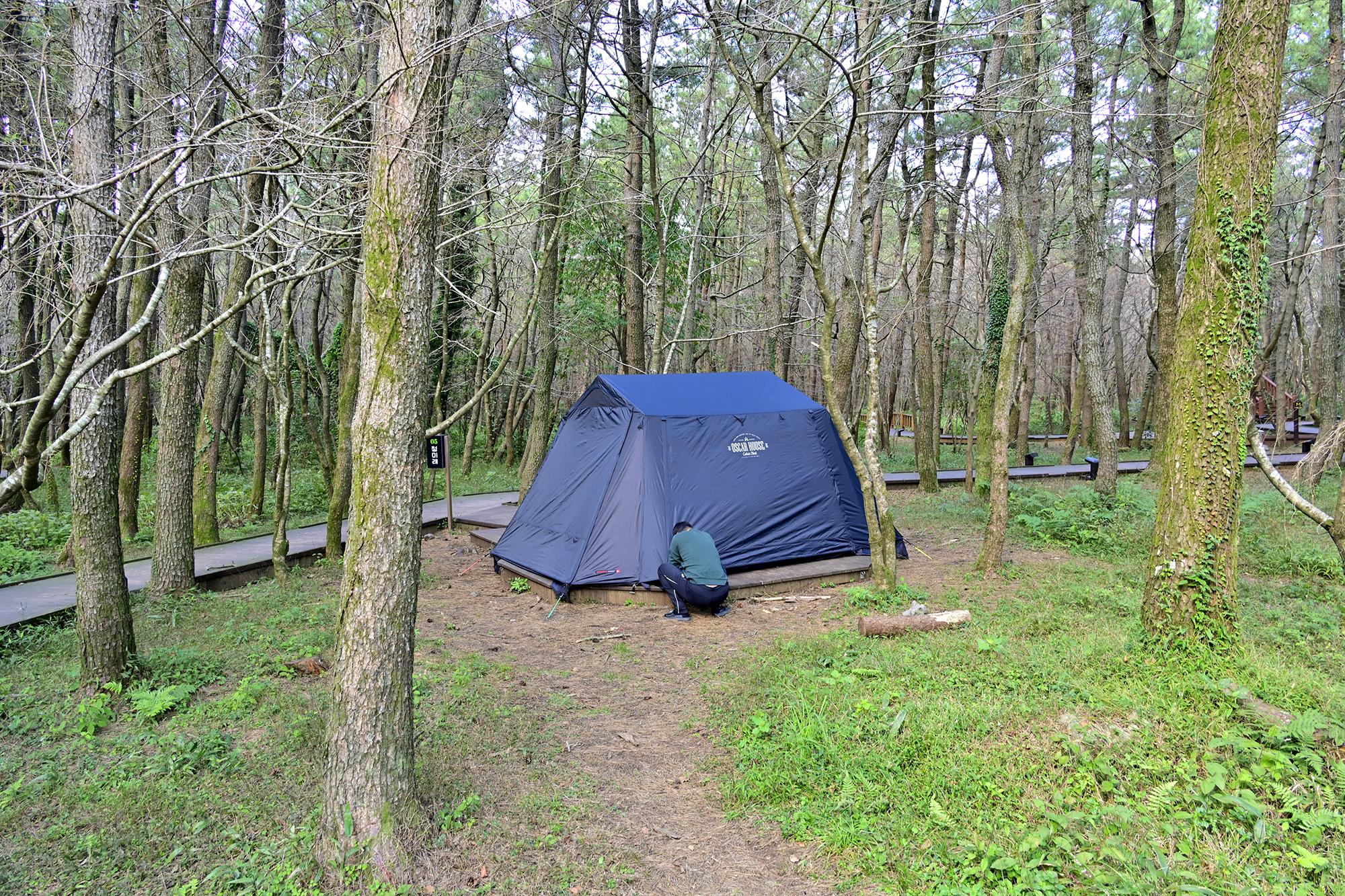 붉은오름 자연휴양림 숲속 야영장 10번째 이미지